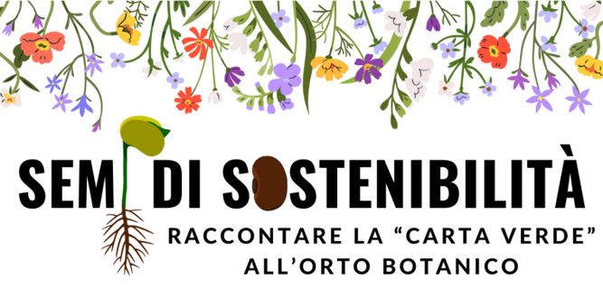 Semi di Sostenibilità – Raccontare la “Carta Verde” all’Orto Botanico